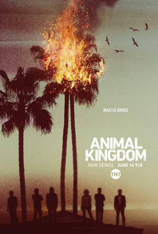 مسلسل Animal Kingdom الموسم الاول الحلقة 2