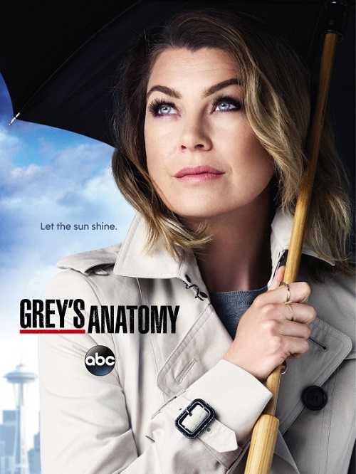 مسلسل Greys Anatomy الموسم 12 الحلقة 22