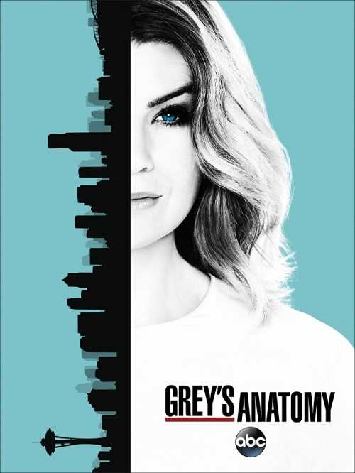 مسلسل Greys Anatomy الموسم 13 الحلقة 19