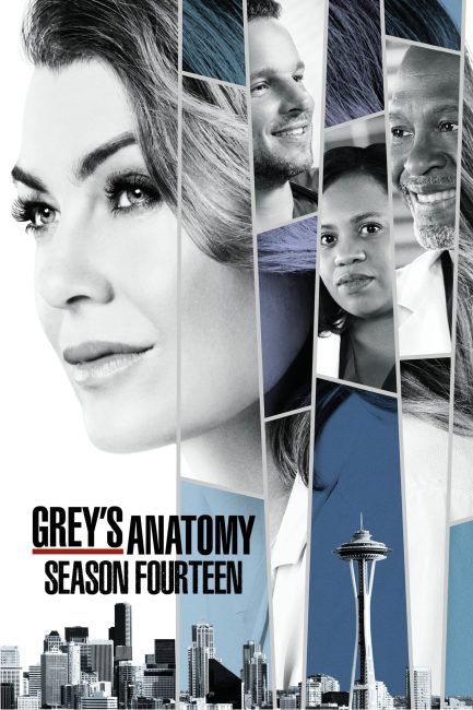 مسلسل Grey’s Anatomy الموسم 14 الحلقة 23 مترجمة