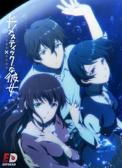 انمي Domestic na Kanojo