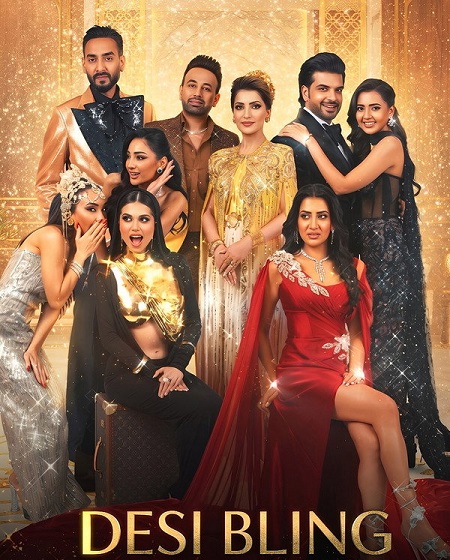 برنامج Desi Bling
