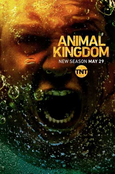 مسلسل Animal Kingdom الموسم الثالث الحلقة 9