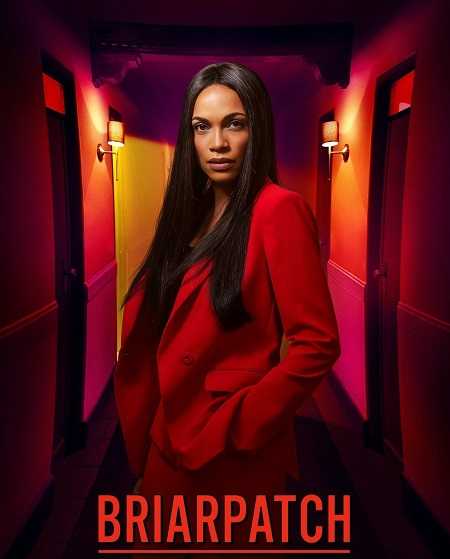مسلسل Briarpatch