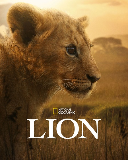 مسلسل Lion الحلقة 2 مترجمة